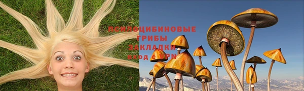 трава Балахна
