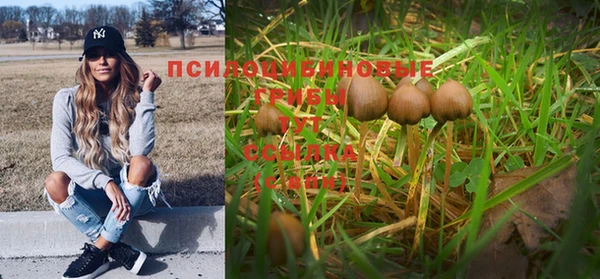 трава Балахна