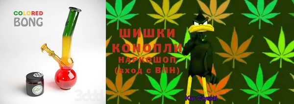 ГАЛЛЮЦИНОГЕННЫЕ ГРИБЫ Баксан