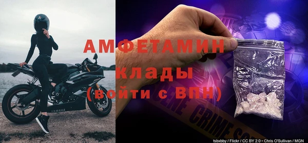 трава Балахна